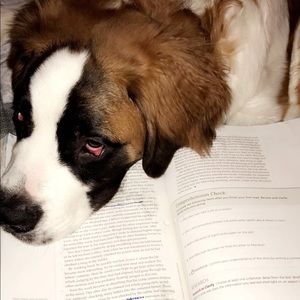 Meet your Posher, Skyler